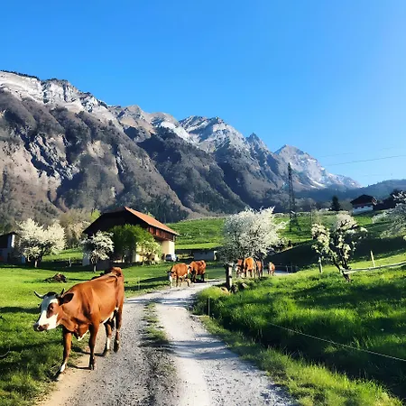 La Ferme Du Mont Charvin